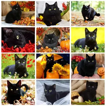 RUOPOTY Maľovanie Podľa Čísel Pre Black Cat Obrázok Kreslenie Zvierat Na plátne Dospelých remeslá